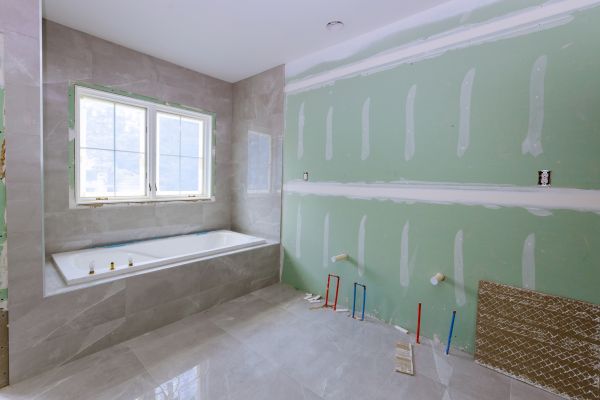 Bathroom Gutting in Castle Rock